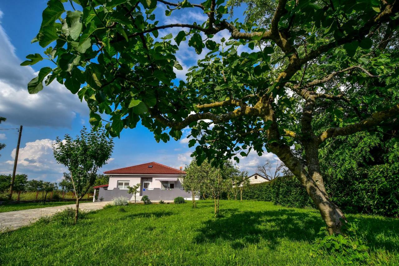 Вилла Ankin Dvor Galovac  Экстерьер фото